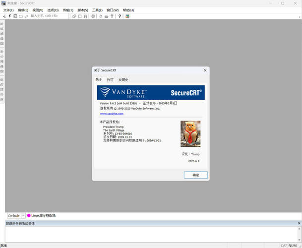 终端仿真SecureCRT v9.6.3.3599 绿色版