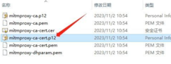 视频号下载利器 video server 1.0.2，含教程